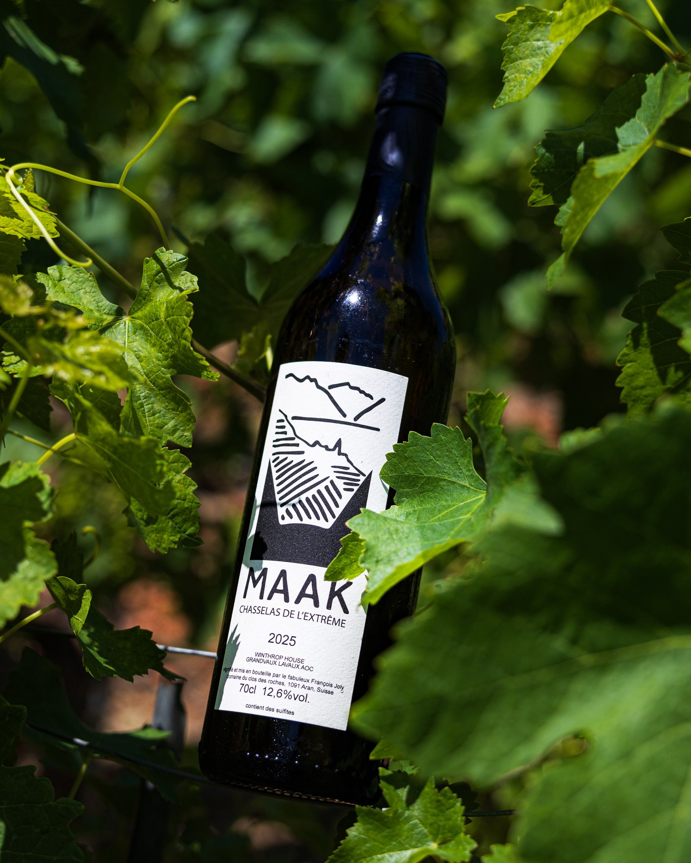 MAAK — Chasselas de l'Extrême 2025